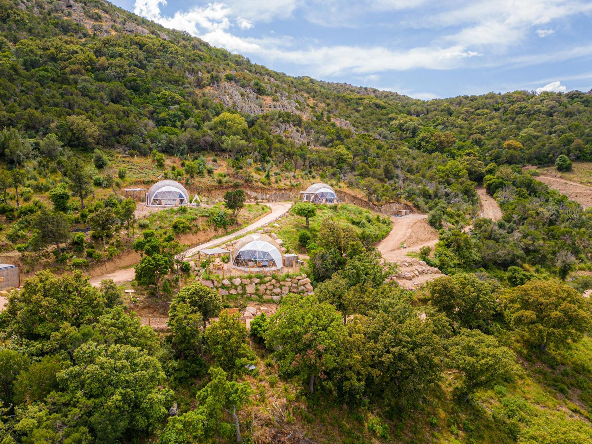 Domaine De Sonia - Logements Eco-Insolites Porto-Vecchio  Ngoại thất bức ảnh